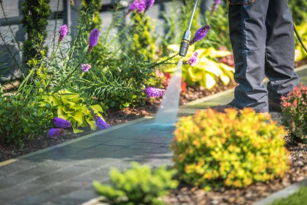 Professional  Pressure Washing Services in Lake Crystal, MN